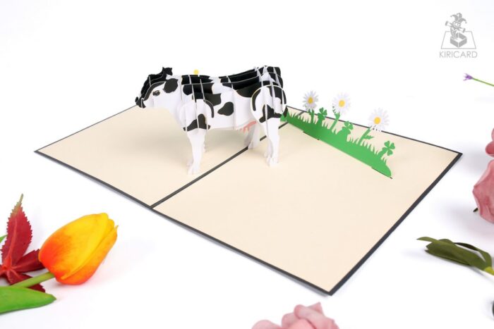 dairy-cow-pop-up-card-04