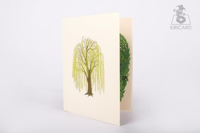 willow-tree-pop-up-card-02