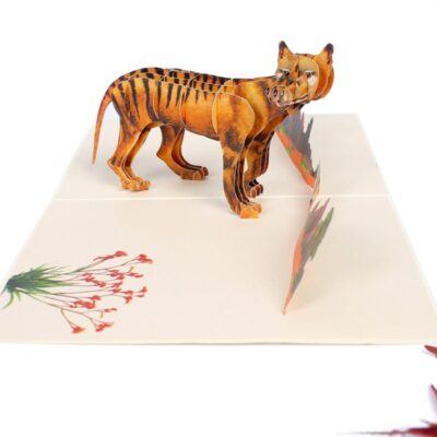 australian-tasmania-tiger-pop-up-card-05