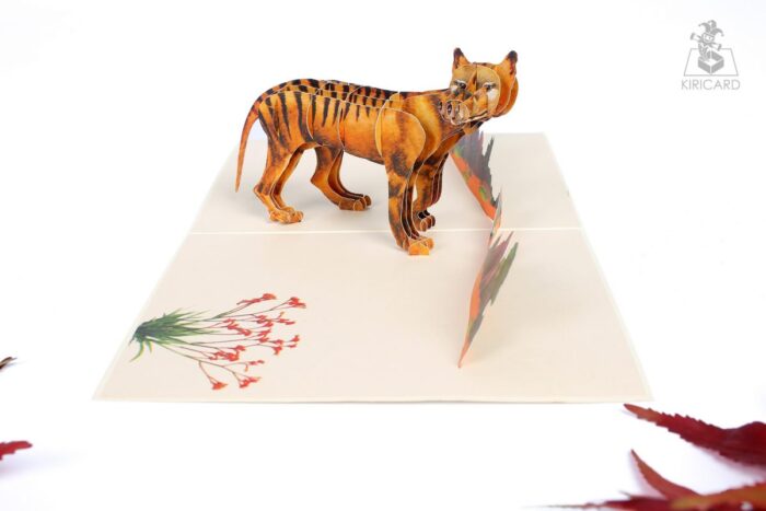 australian-tasmania-tiger-pop-up-card-05