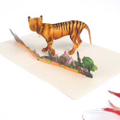 australian-tasmania-tiger-pop-up-card-04