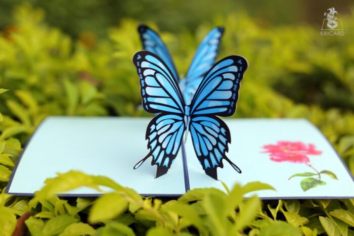 couple-butterflies-pop-up-card-blue-02