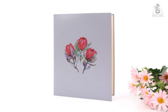 waratah-bunch-pop-up-card-01