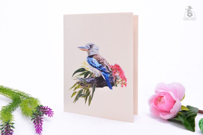 laughing-kookaburra-bird-pop-up-card-05