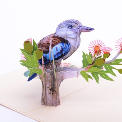 laughing-kookaburra-bird-pop-up-card-06