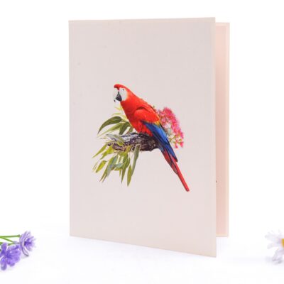 parrot-3-pop-up-card-03