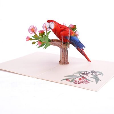 parrot-3-pop-up-card-04