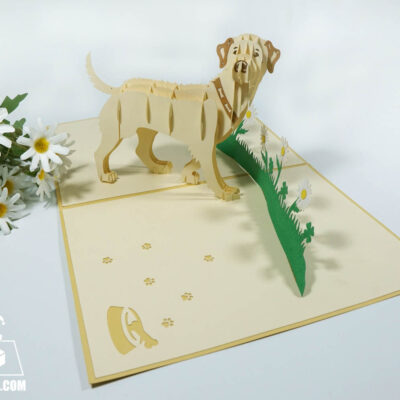 white-lab-pop-up-card-04