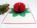 waratah-flower-pop-up-card-2