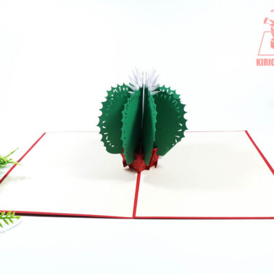 cactus-pop-up-card-04