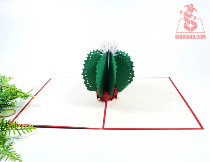 cactus-pop-up-card-04