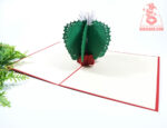 cactus-pop-up-card-01