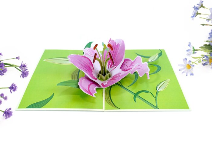 lily-bloom-pop-up-card-08