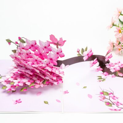 cherry-blossom-tree-pop-up-card-05