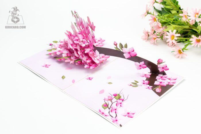 cherry-blossom-tree-pop-up-card-03