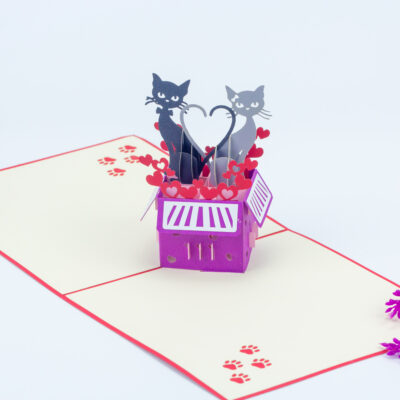 love-cats-in-a-box-pop-up-card-05