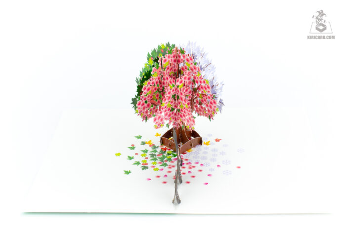 deluxe-4-season-tree-pop-up-card-bicycle-03