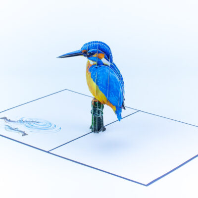 kingfisher-pop-up-card-05