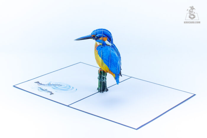 kingfisher-pop-up-card-05