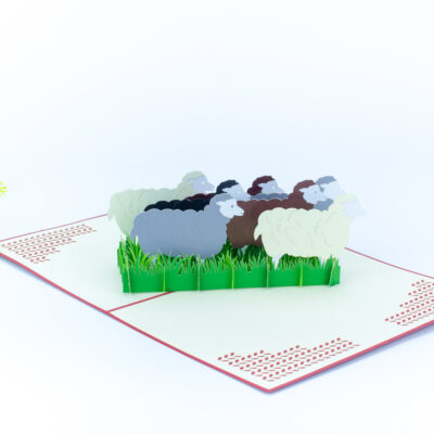 flock-of-sheep-pop-up-card-04