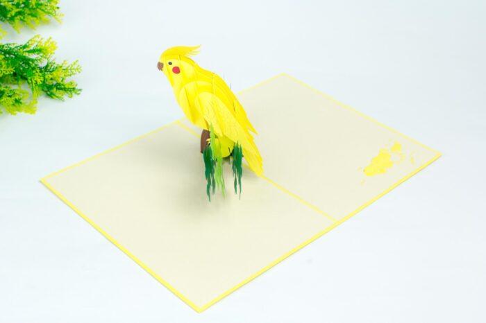 cockatiel-pop-up-card-03