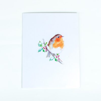 robin-pop-up-card-05