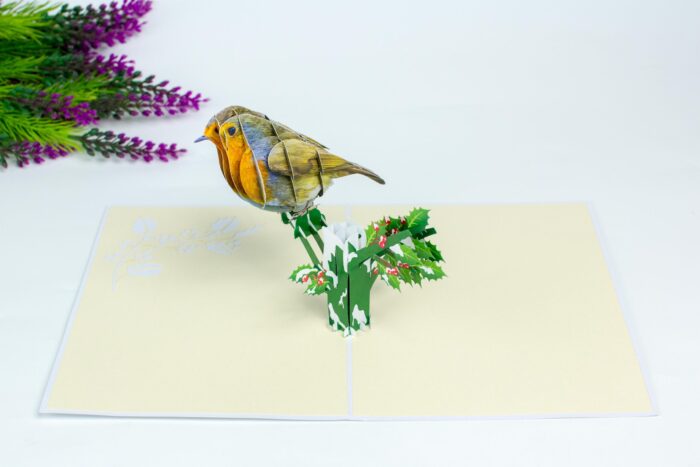 robin-pop-up-card-03