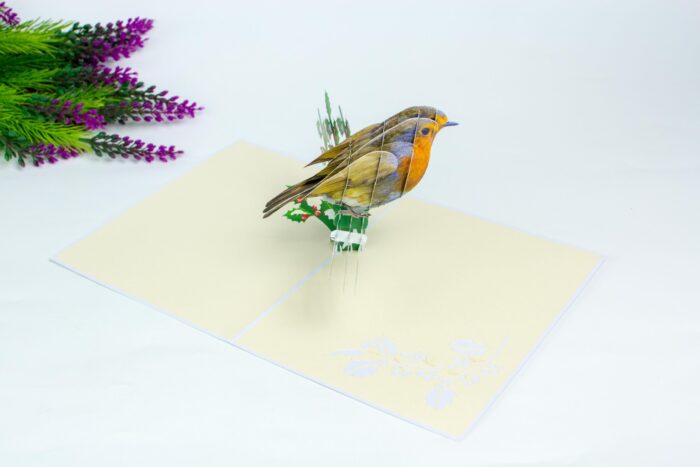 robin-pop-up-card-02