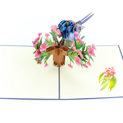 blue-wren-pop-up-card-03