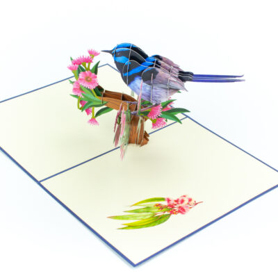 blue-wren-pop-up-card-04