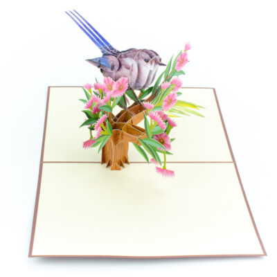 female-superb-fairy-wrens-pop-up-card-03