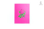 dark-pink-roses-popup-card-01