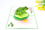 green-frog-pop-up-card-01