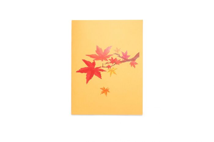 maple-tree-street-pop-up-card-05