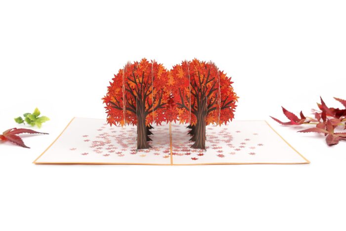 maple-tree-street-pop-up-card-04