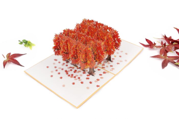 maple-tree-street-pop-up-card-01