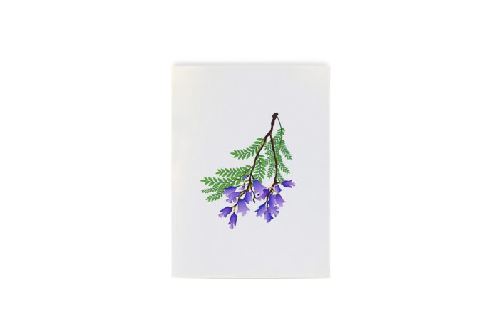 jacaranda-street-pop-up-card-04