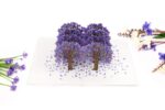 jacaranda-street-pop-up-card-02