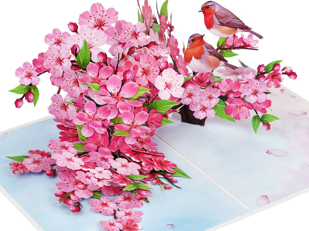 cherry-blossom-branch-with-robins-pop-up-card