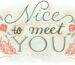 replies-for-nice-to-meet-you